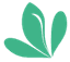 CourseSprout